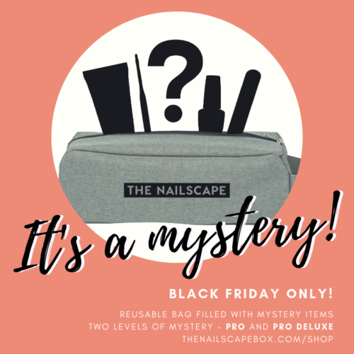 the nailscape mystery bag